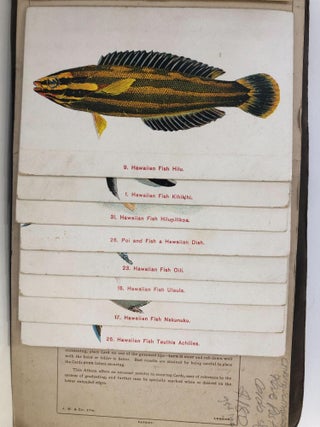 Early Postcards Album - Fish / Liners