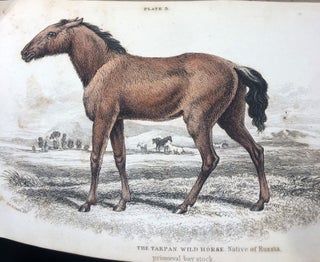 Item #16338 Mammalia. Horses. In The Naturalist's Library Series. Vol xii. Lieut.-Col Charles...