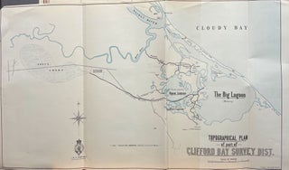 Item #17089 Topographical Plan of Part of Clifford Bay Survey Dist. C. W. ADAMS