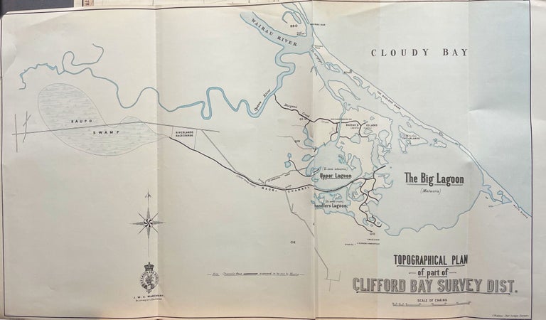Item #17089 Topographical Plan of Part of Clifford Bay Survey Dist. C. W. ADAMS.