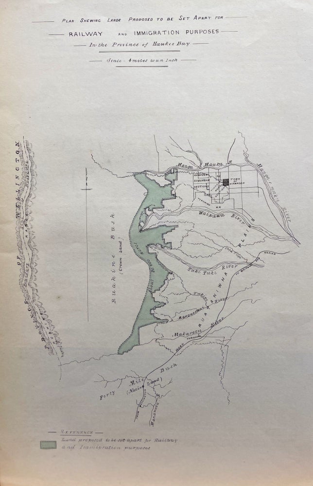 Item #18125 Plan shewing lands proposed to be set apart for railway and immigration purposes in the Province of Hawkes Bay