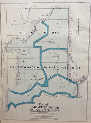 Item #18131 Plan of Taihape improved farm settlement. Haylock