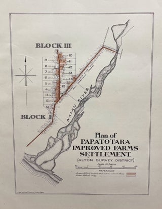 Item #18136 Plan of Papatotara improved farm settlement
