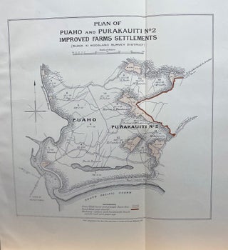 Item #18137 Plan of Puaho and Purakauiti No 2 improved farm settlement