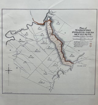 Item #18139 Plan of Waikopiro improved farm settlement. T. M. Grant
