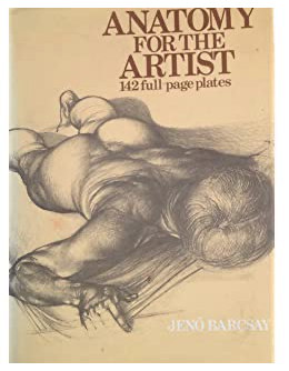 Item #31185 Anatomy for the Artist: 142 Full Page Plates. Jenő Barcsay