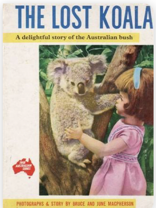 Item #31244 The Lost Koala. June MacPherson Bruce MacPherson