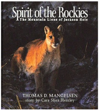 Item #31263 Spirit of the Rockies : The Mountain Lions of Jackson Hole. Thomas D. Mangelsen, Cara...