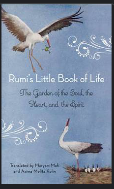 Item #31427 Rumi's Little Book of Life. Rumi