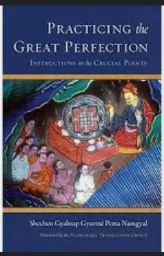 Item #31462 Practicing the Great Perfection. Shechen Gyaltsap Gyurme Pema Namgyal Shechen...