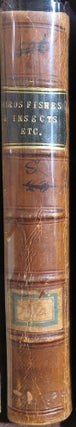 Item #6046 Illustrative Anecdotes of Birds, Fishes, and Insects, Etc. Thomas BROWN, Captain